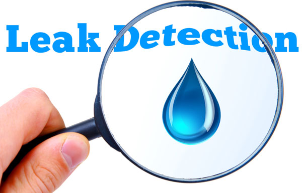 The Importance Of Leak Detection